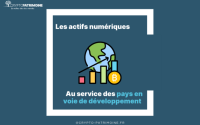 Cryptomonnaies et pays en voie de développement